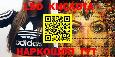 Альфа ПВП Будённовск