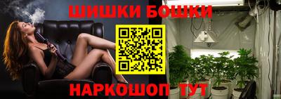 Альфа ПВП Будённовск