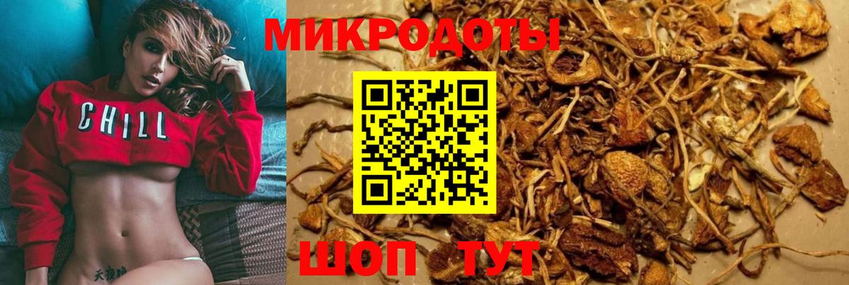 Галлюциногенные грибы мицелий Гусев