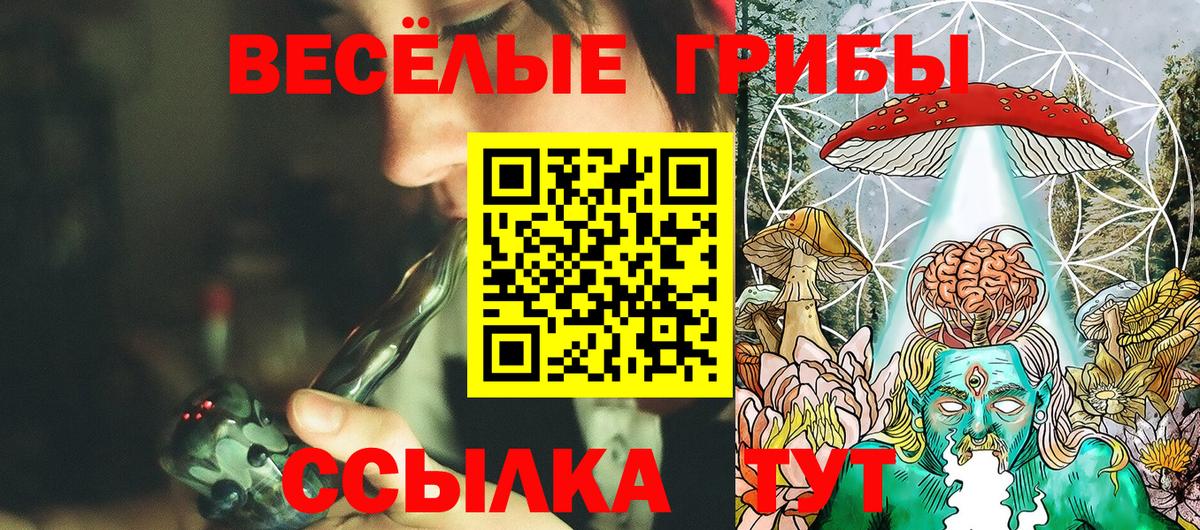 Псилоцибиновые грибы Psilocybe  купить наркоту  Гусев  Вход с VPN 
